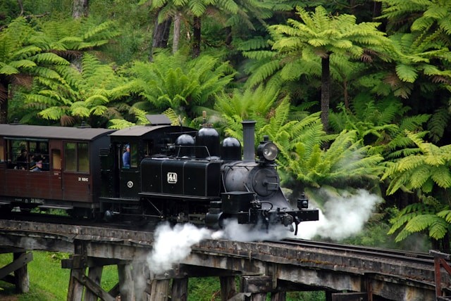 Puffing Billy Railway