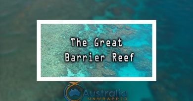 the great barrier reef