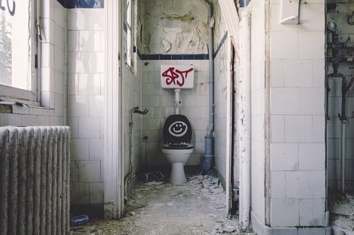 The Sound of a Toilet Flushing