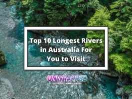Top 10 Longest Rivers in Australia For You to Visit