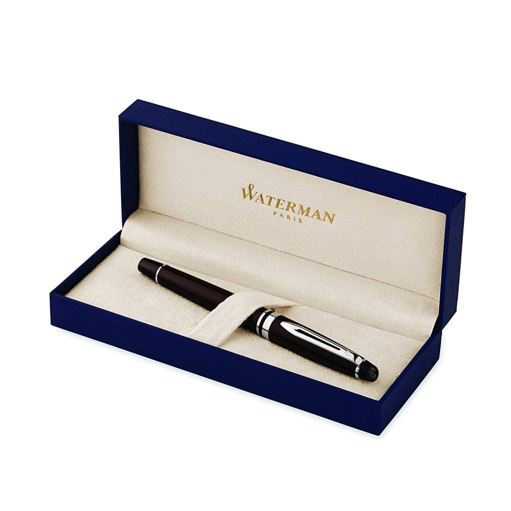 Waterman expert pen