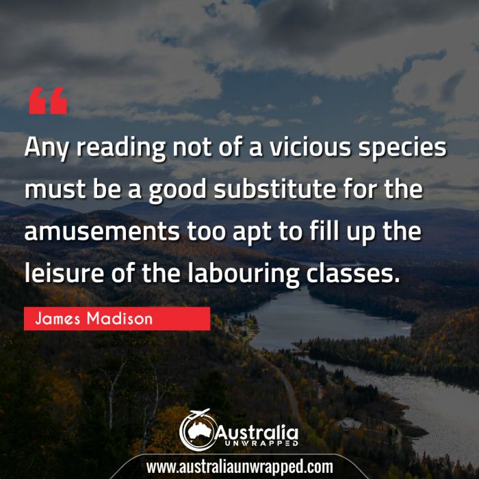 Any reading not of a vicious species must be a good substitute for the amusements too apt to fill up the leisure of the labouring classes.