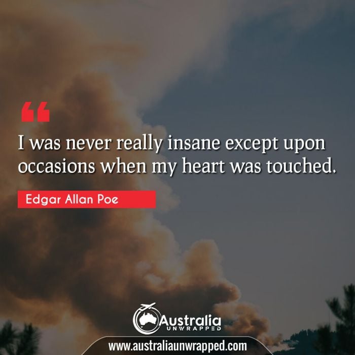 
 I was never really insane except upon occasions when my heart was touched.