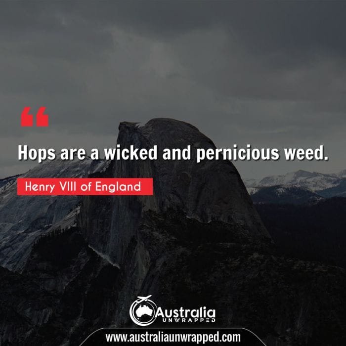 Hops are a wicked and pernicious weed.