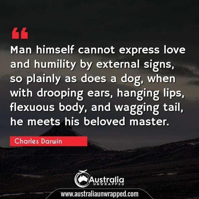 Man himself cannot express love and humility by external signs, so plainly as does a dog, when with drooping ears, hanging lips, flexuous body, and wagging tail, he meets his beloved master.