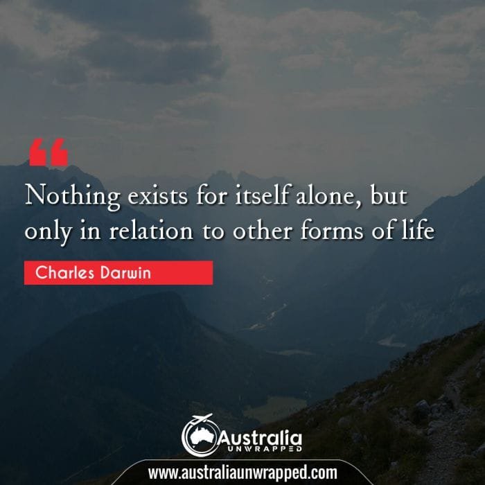 Nothing exists for itself alone, but only in relation to other forms of life.