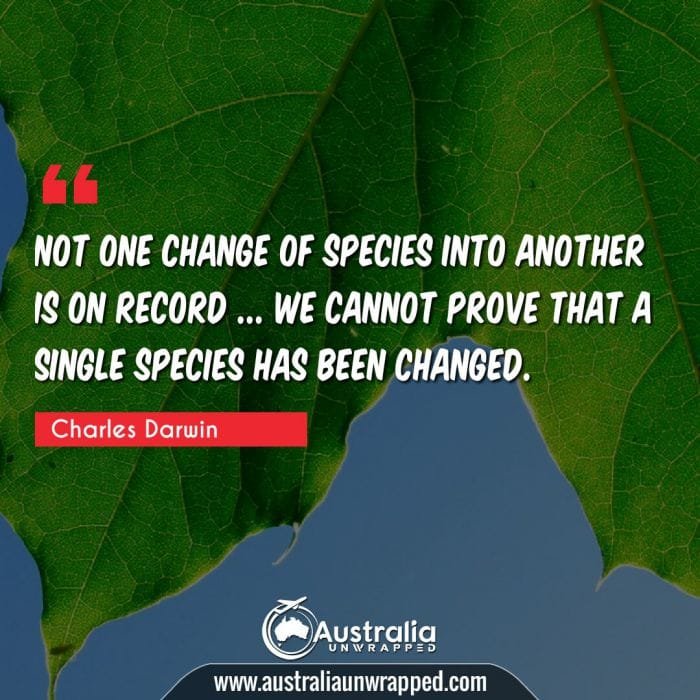 Not one change of species into another is on record … we cannot prove that a single species has been changed.