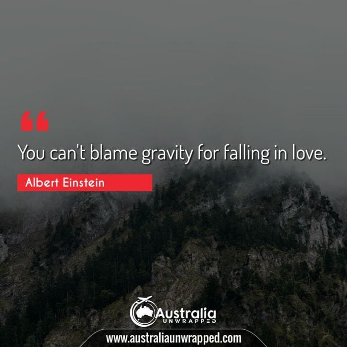 
 You can't blame gravity for falling in love.