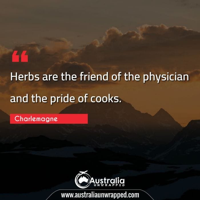 Herbs are the friend of the physician and the pride of cooks.