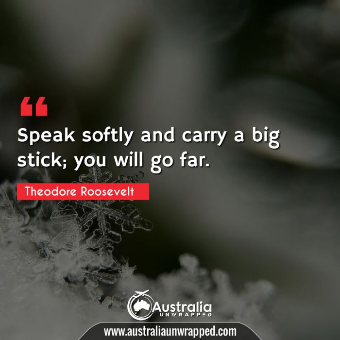 Speak softly and carry a big stick; you will go far.
 