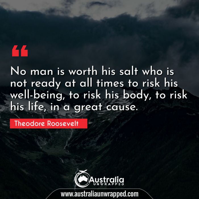 No man is worth his salt who is not ready at all times to risk his well-being, to risk his body, to risk his life, in a great cause.
 
