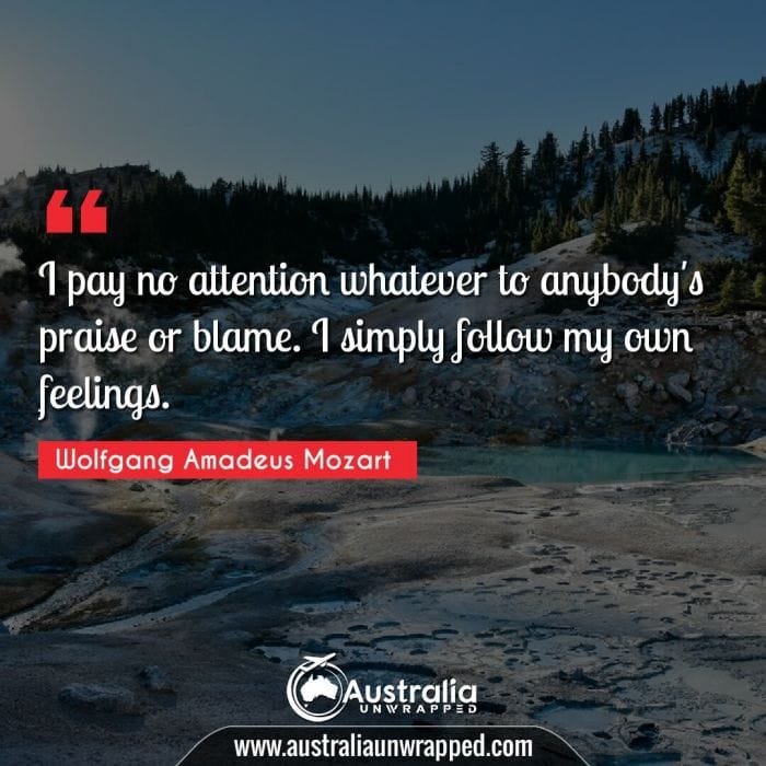 I pay no attention whatever to anybody's praise or blame. I simply follow my own feelings.
