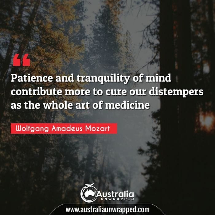 Patience and tranquility of mind contribute more to cure our distempers as the whole art of medicine
 