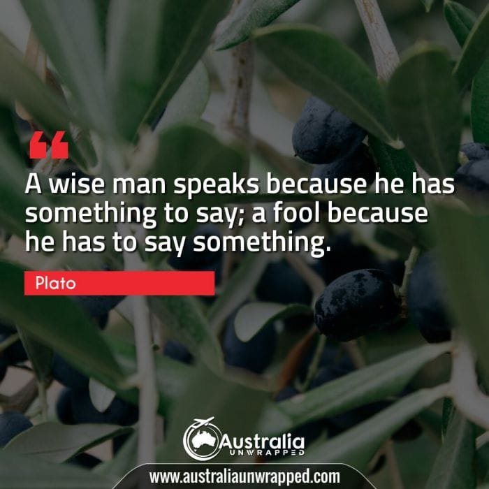 A wise man speaks because he has something to say; a fool because he has to say something.