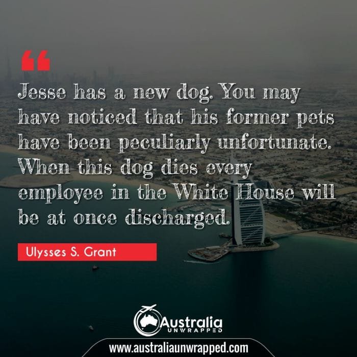 Jesse has a new dog. You may have noticed that his former pets have been peculiarly unfortunate. When this dog dies every employee in the White 