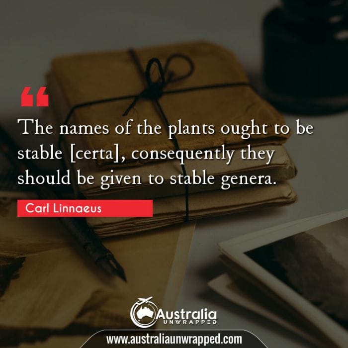 The names of the plants ought to be stable [certa], consequently they should be given to stable genera.
