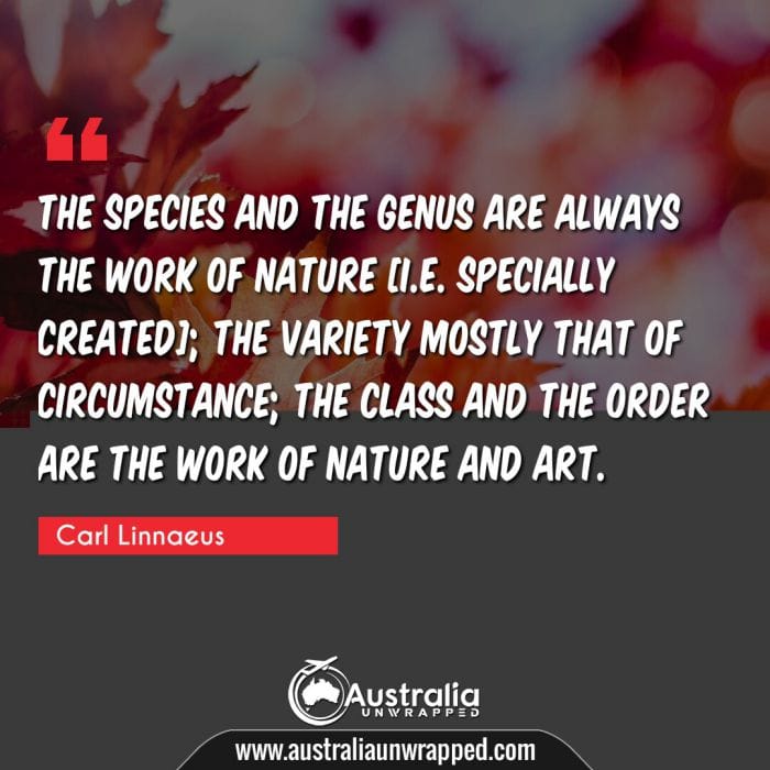 The species and the genus are always the work of nature [i.e. specially created]; the variety mostly that of circumstance; the class and the order are the work of nature and art.

