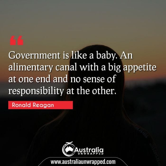 Government is like a baby. An alimentary canal with a big appetite at one end and no sense of responsibility at the other.
 