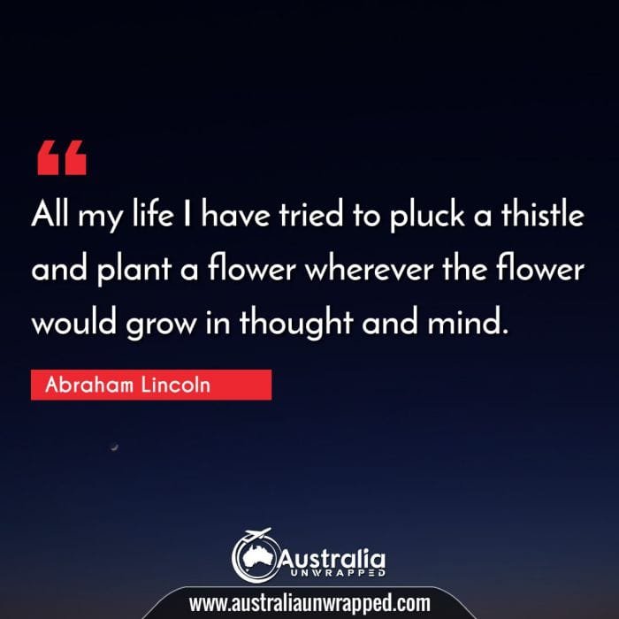  All my life I have tried to pluck a thistle and plant a flower wherever the flower would grow in thought and mind.