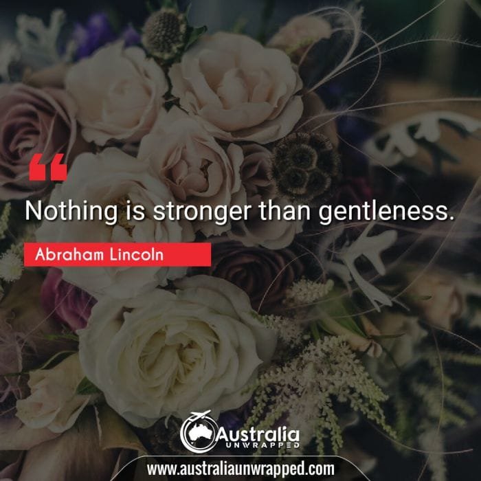  Nothing is stronger than gentleness.