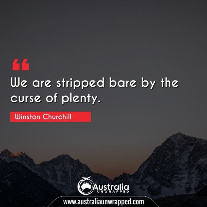 
 We are stripped bare by the curse of plenty.