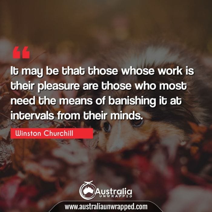 
 It may be that those whose work is their pleasure are those who most need the means of banishing it at intervals from their minds.