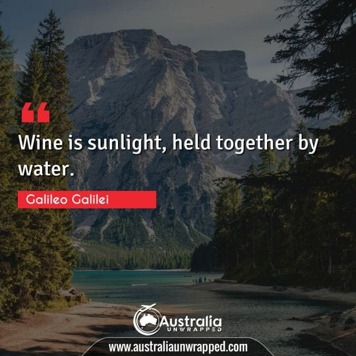 Wine is sunlight, held together by water.