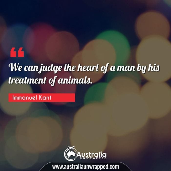  We can judge the heart of a man by his treatment of animals.