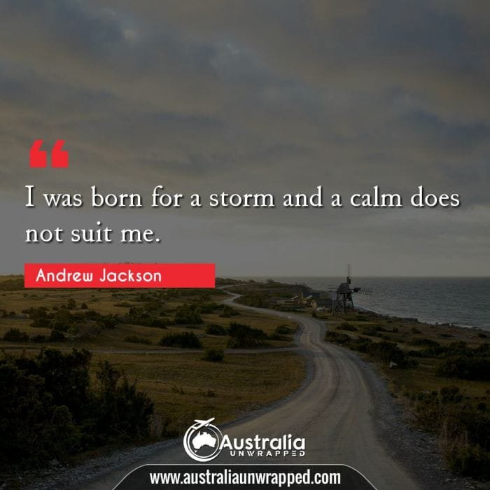 I was born for a storm and a calm does not suit me.