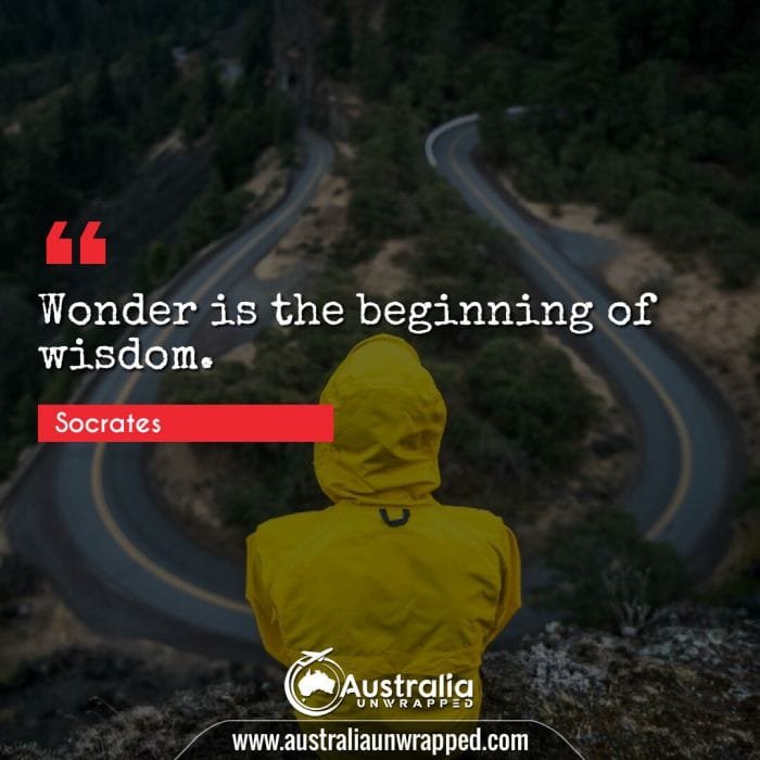 Wonder is the beginning of wisdom.