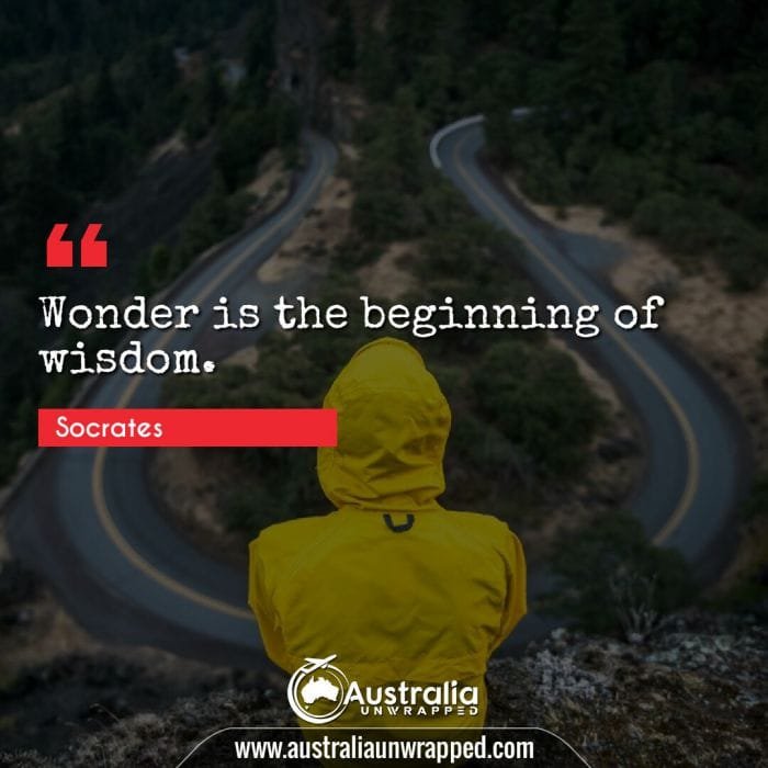  Wonder is the beginning of wisdom.
