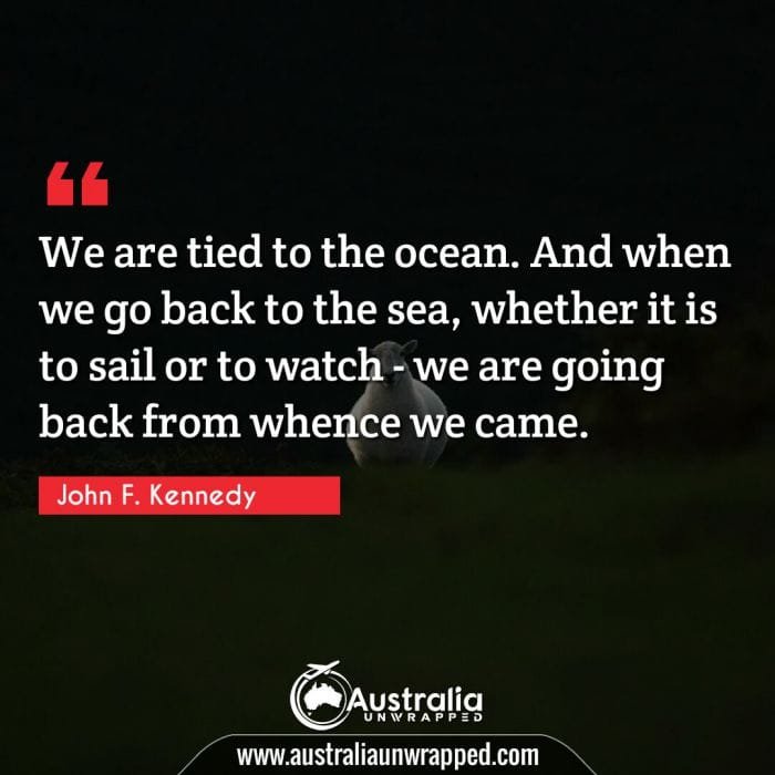 We are tied to the ocean. And when we go back to the sea, whether it is to sail or to watch - we are going back from whence we came.