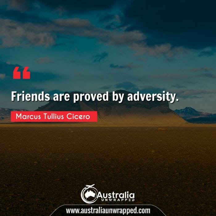  Friends are proved by adversity.
