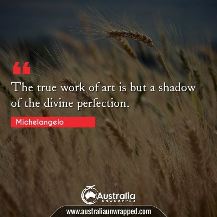  The true work of art is but a shadow of the divine perfection.
