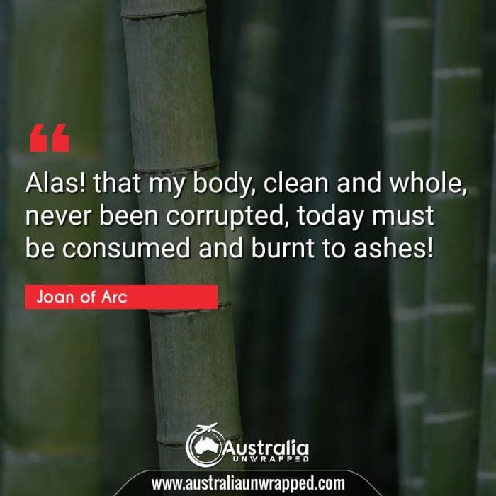 Alas! that my body, clean and whole, never been corrupted, today must be consumed and burnt to ashes!