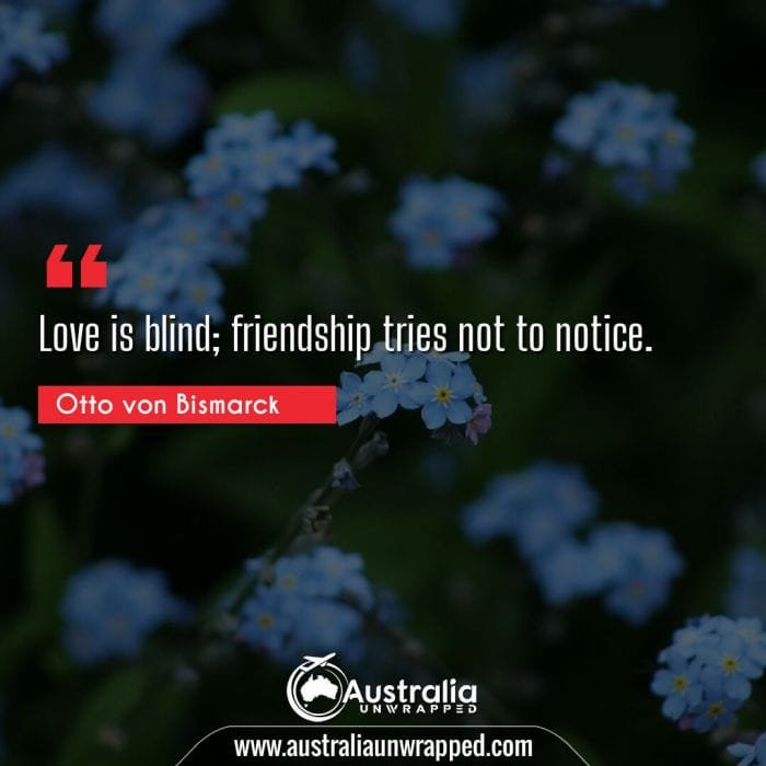 Love is blind; friendship tries not to notice.