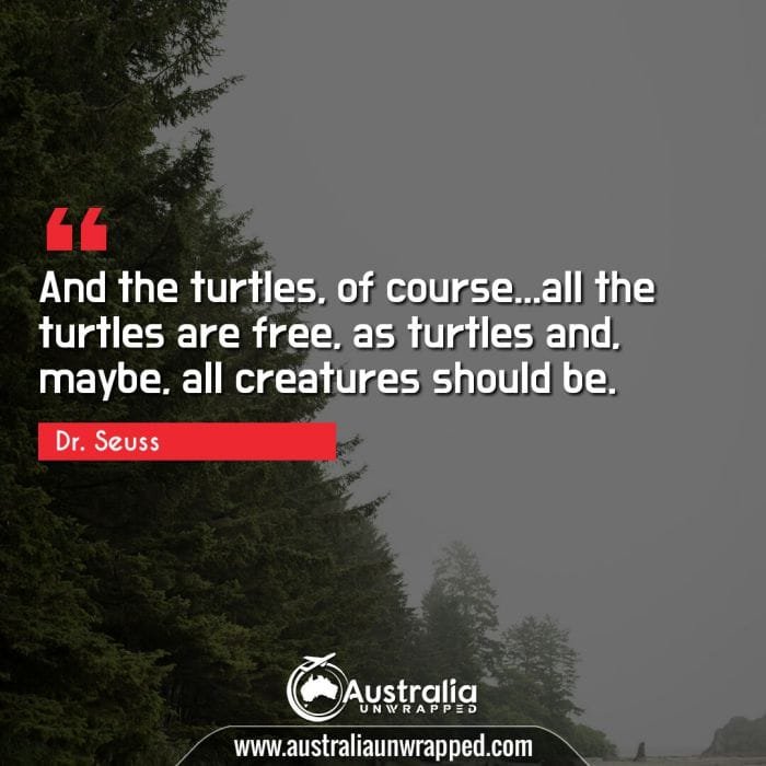 And the turtles, of course…all the turtles are free, as turtles and, maybe, all creatures should be.