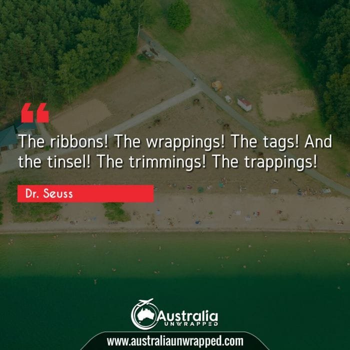 The ribbons! The wrappings! The tags! And the tinsel! The trimmings! The trappings!