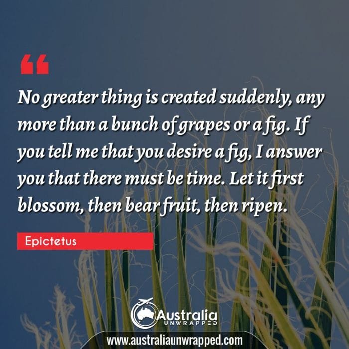 No greater thing is created suddenly, any more than a bunch of grapes or a fig. If you tell me that you desire a fig, I answer you that there must be time. Let it first blossom, then bear fruit, then ripen.