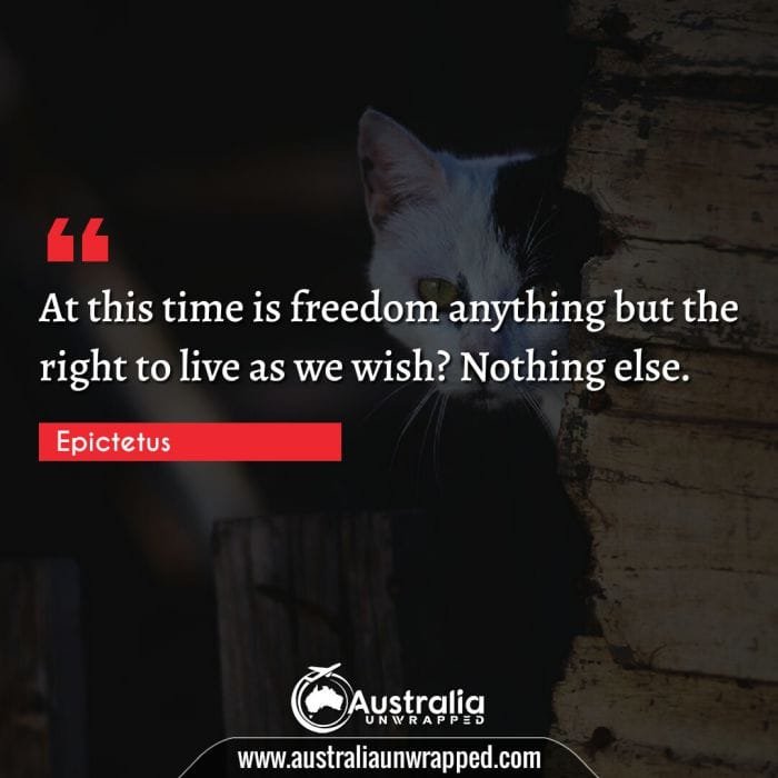 At this time is freedom anything but the right to live as we wish? Nothing else.