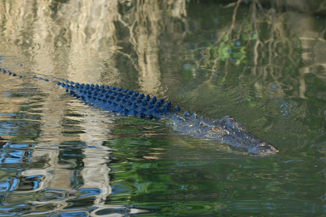 Breath-taking Adventure to Australia’s Kakadu National park