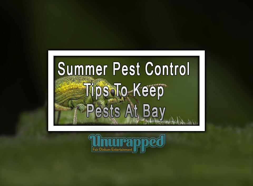 Summer Pest Control Tips To Keep Pests At Bay