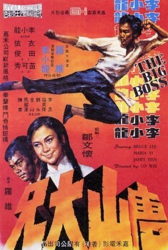 The Big Boss (1971)