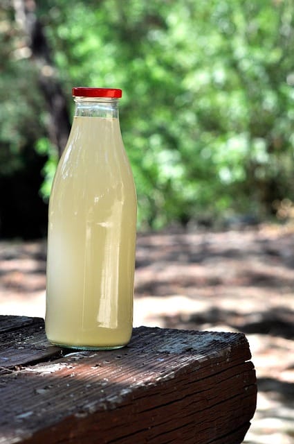 Benefits Of Ginger Ale