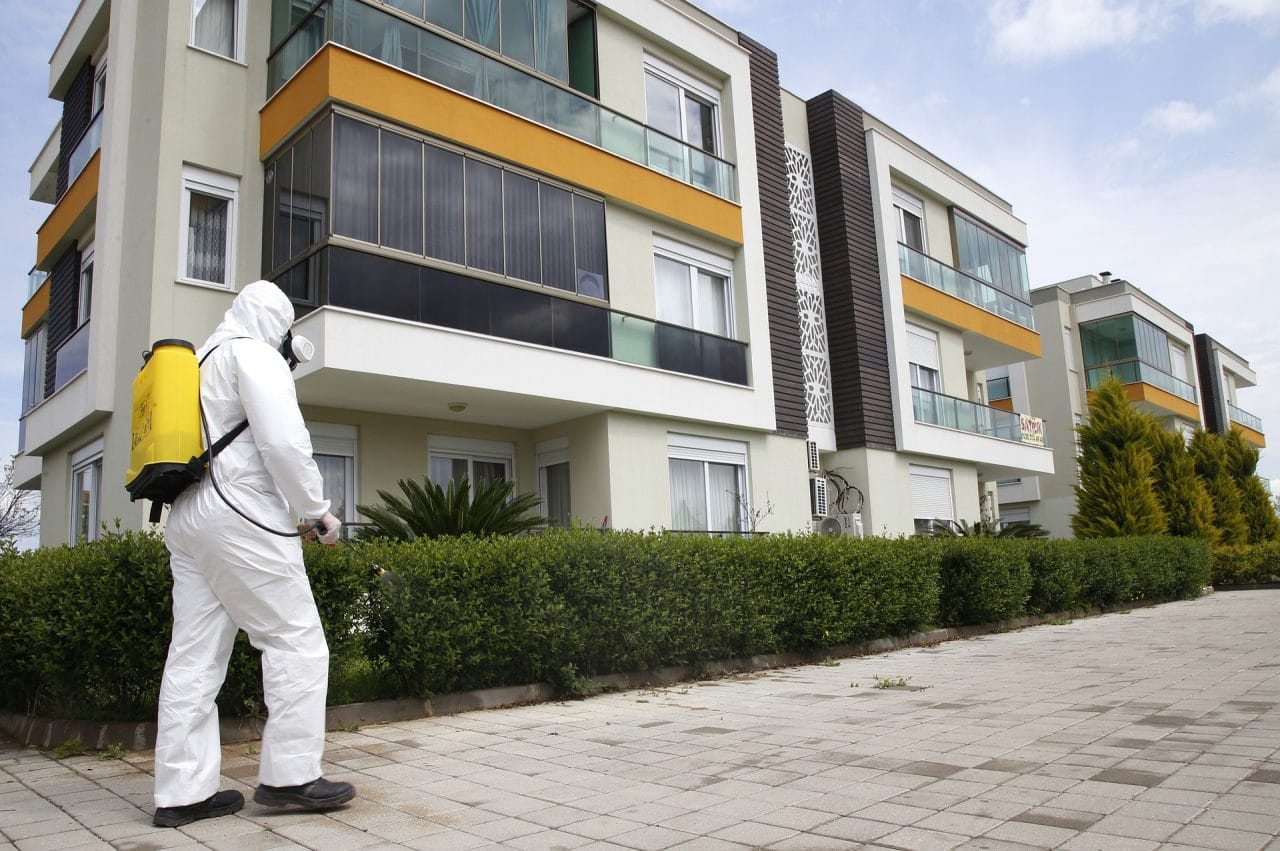 Why Is Comprehensive Pest Control Essential During COVID 19?