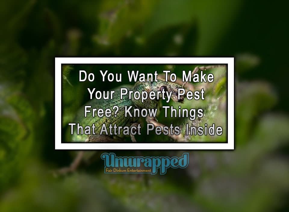 Do You Want To Make Your Property Pest Free Know Things That Attract Pests Inside