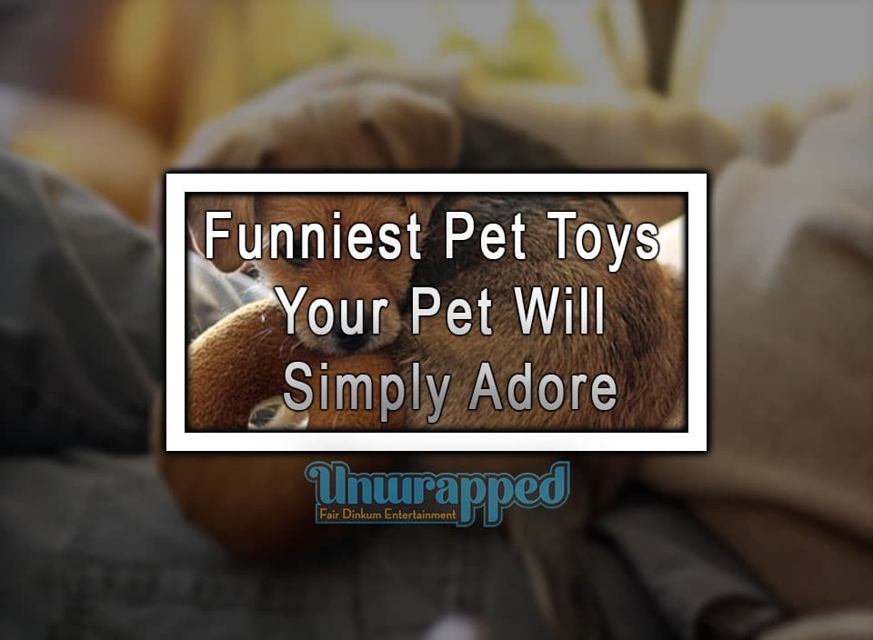 Funniest Pet Toys Your Pet Will Simply Adore
