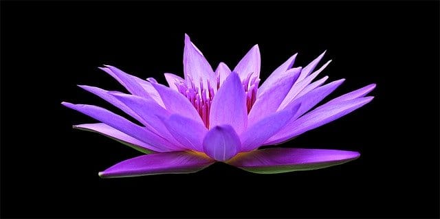 Best Places to Find Free Images on the Internet