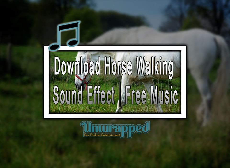 Download Horse Walking Sound Effect|Free Music Download Horse Walking Sound Effect|Free Music