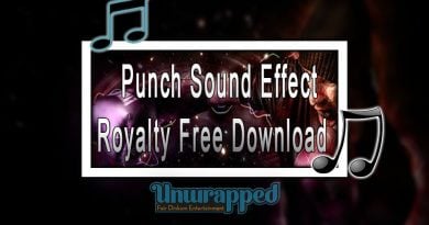 Punch Sound Effect｜Royalty Free Download